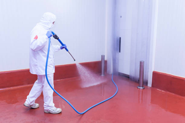Best Sidewalk and Walkway Cleaning  in West Hempstead, NY